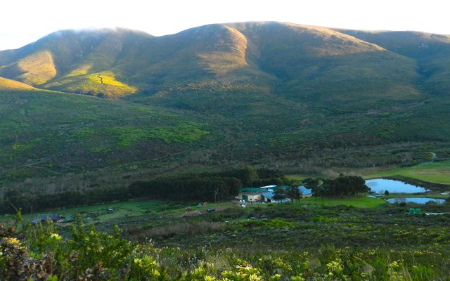 Die plaas, Flower Valley van Flower Valley Conservation Trust wat vanjaar hulle 15de verjaardag herdenk